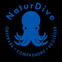 NaturDive kullanıcısının resmi